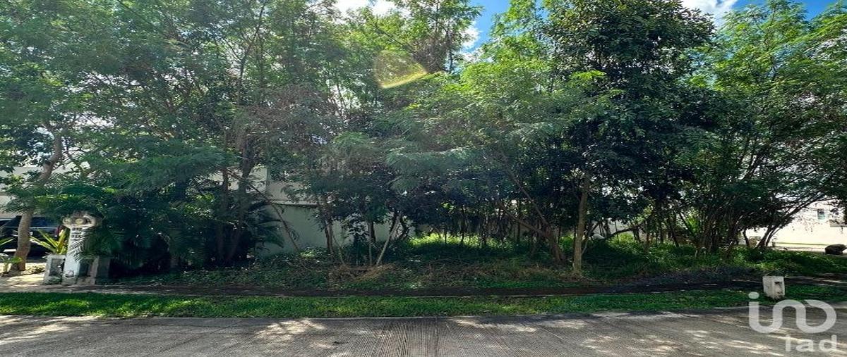 Foto de terreno habitacional en 14 83, cholul, mérida, yucatán, 30896897 foto 03 Foto de terreno habitacional en venta en 14 83, cholul, mérida, yucatán, 30896897 No. 03