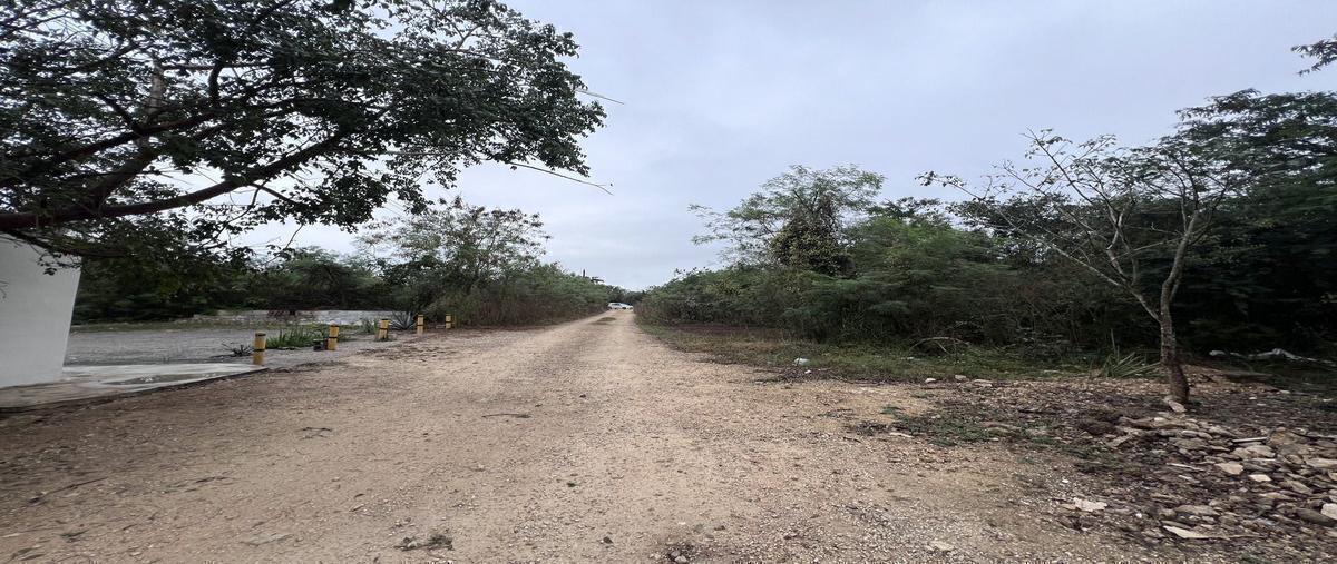 Foto de terreno habitacional en venta en 14 , cholul, mérida, yucatán, 30603451 No. 05