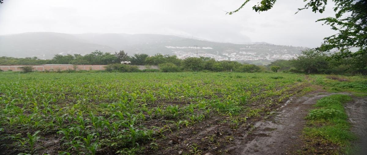 Foto de terreno habitacional en venta en  , 14 de febrero, chilpancingo de los bravo, guerrero, 0 No. 04