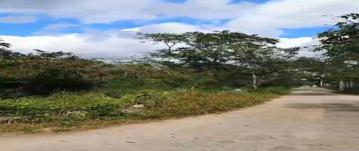 Foto de terreno habitacional en venta en 14 , nolo, tixkokob, yucatán, 0 No. 03