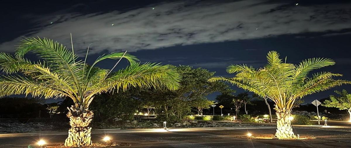 Foto de terreno habitacional en 14 , temozon norte, mérida, yucatán, 30991572 foto 03 Foto de terreno habitacional en venta en 14 , temozon norte, mérida, yucatán, 30991572 No. 03