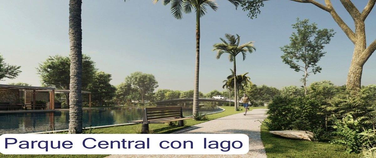 Foto de terreno habitacional en venta en 142 , san ignacio, progreso, yucatán, 0 No. 04