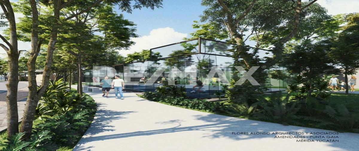 Foto de terreno habitacional en 144 , dzitya, mérida, yucatán, 29286551 foto 04 Foto de terreno habitacional en venta en 144 , dzitya, mérida, yucatán, 29286551 No. 04