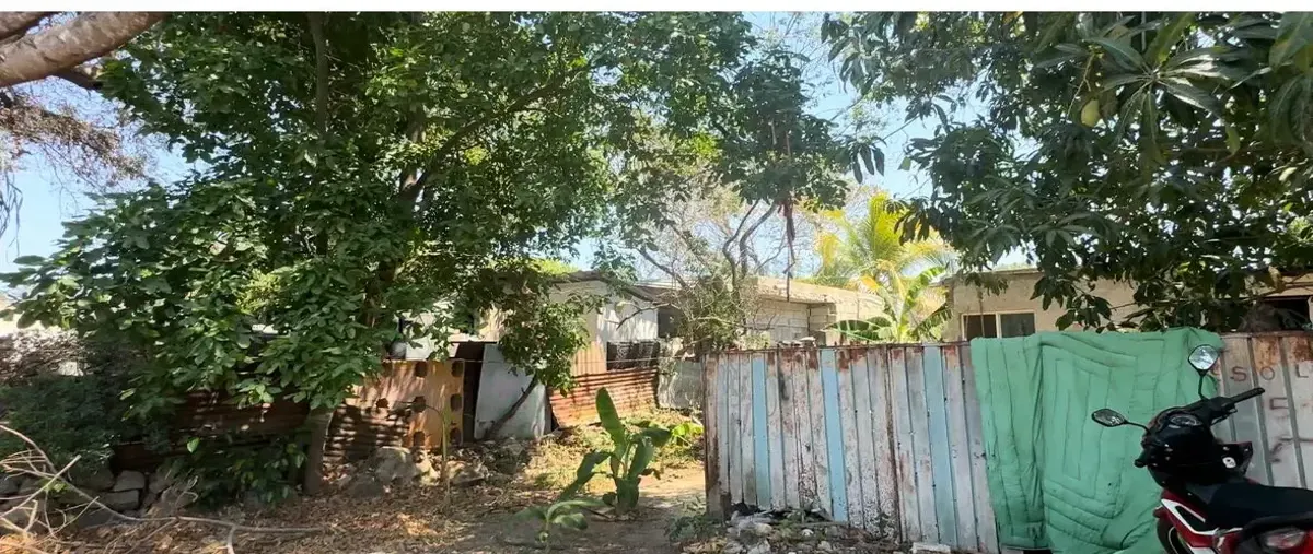 Foto de terreno habitacional en 147 302, san jose tecoh, mérida, yucatán, 27856165 foto 03 Foto de terreno habitacional en venta en 147 302, san jose tecoh, mérida, yucatán, 27856165 No. 03