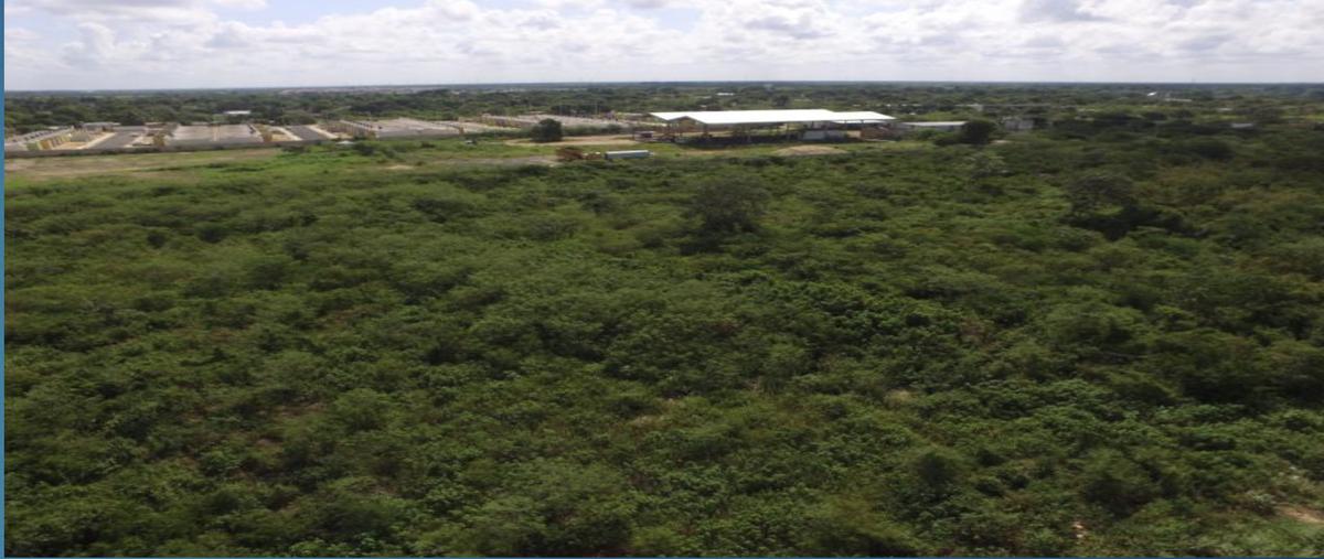 Foto de terreno habitacional en venta en 147 , villa magna del sur, mérida, yucatán, 27135862 No. 05