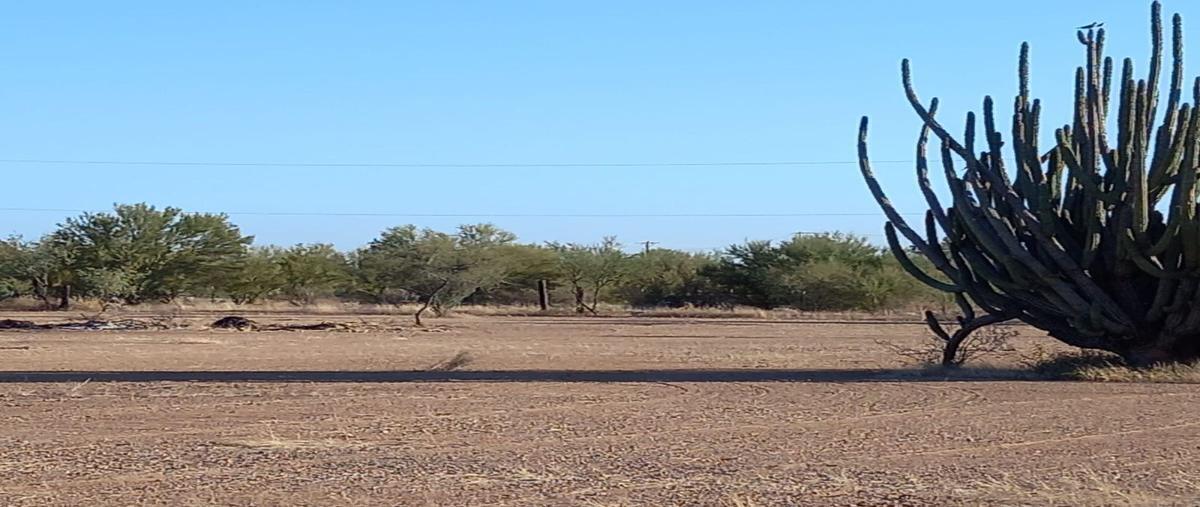 Foto de terreno habitacional en venta en  , 15 "a", hermosillo, sonora, 27559075 No. 04