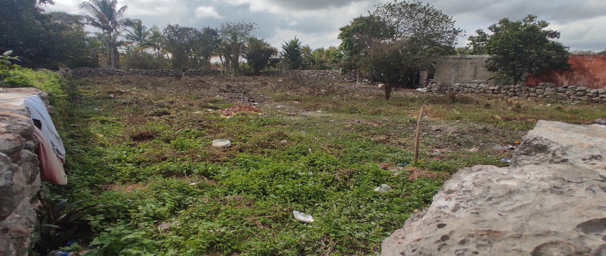 Foto de terreno habitacional en venta en 15 , baca, baca, yucatán, 0 No. 04