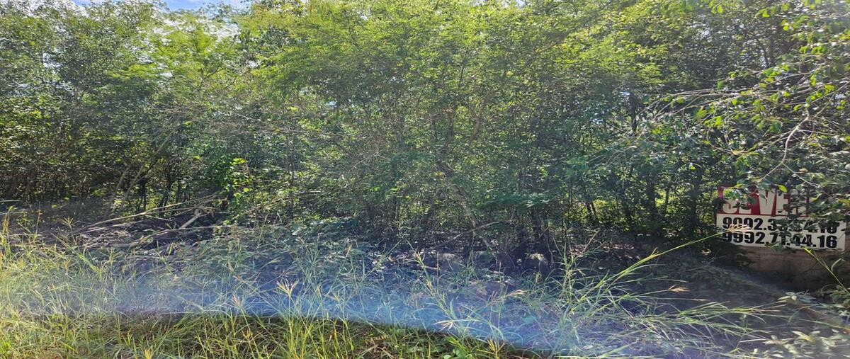 Foto de terreno habitacional en venta en 15 , chablekal, mérida, yucatán, 30425116 No. 04