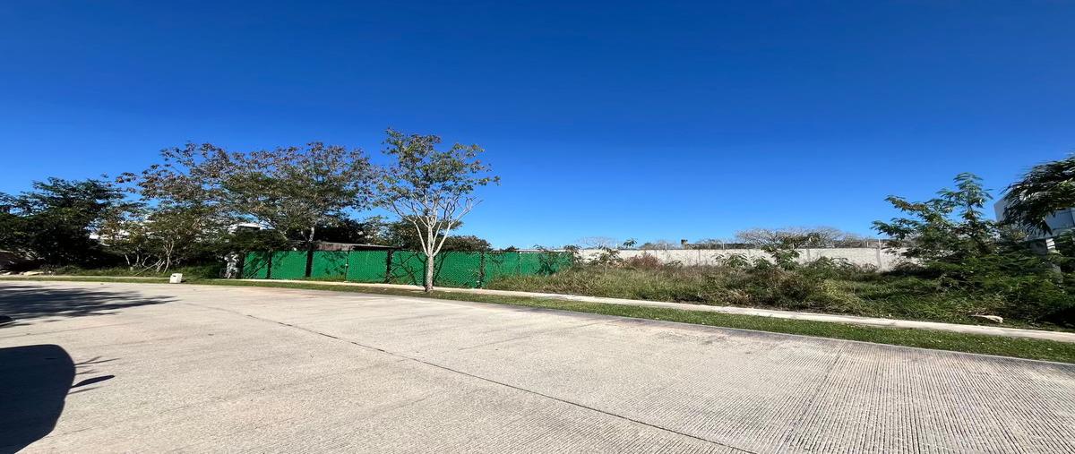 Foto de terreno habitacional en venta en 15 , cholul, mérida, yucatán, 0 No. 05