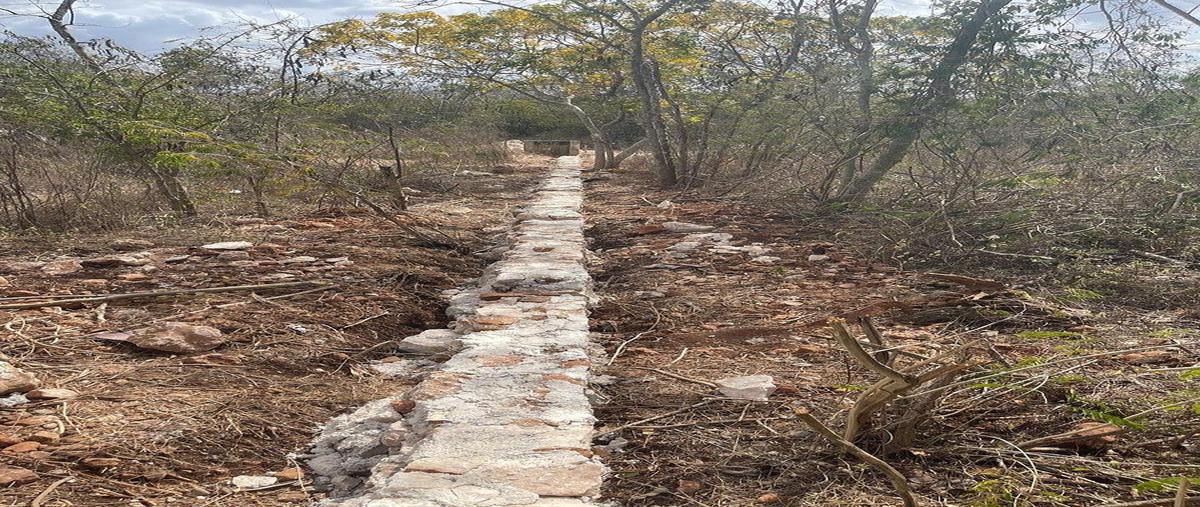 Foto de terreno habitacional en venta en 15 , conkal, conkal, yucatán, 0 No. 03