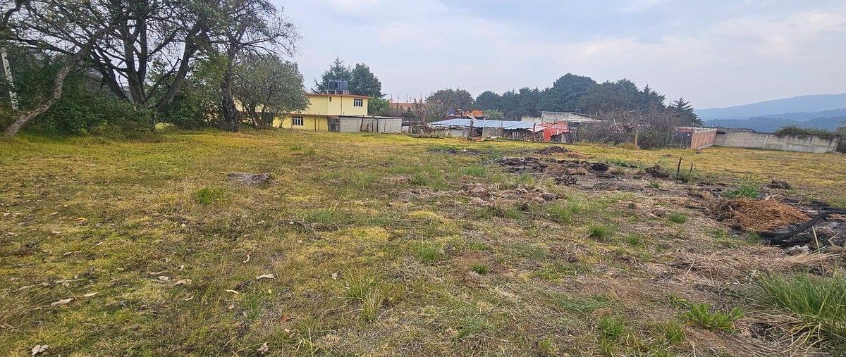 Foto de terreno habitacional en venta en 15 de agosto , santa ana jilotzingo, jilotzingo, méxico, 0 No. 04