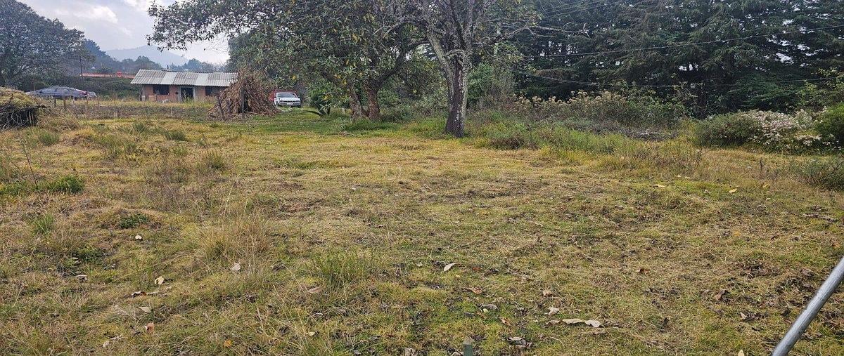 Foto de terreno habitacional en venta en 15 de agosto , santa ana jilotzingo, jilotzingo, méxico, 0 No. 05