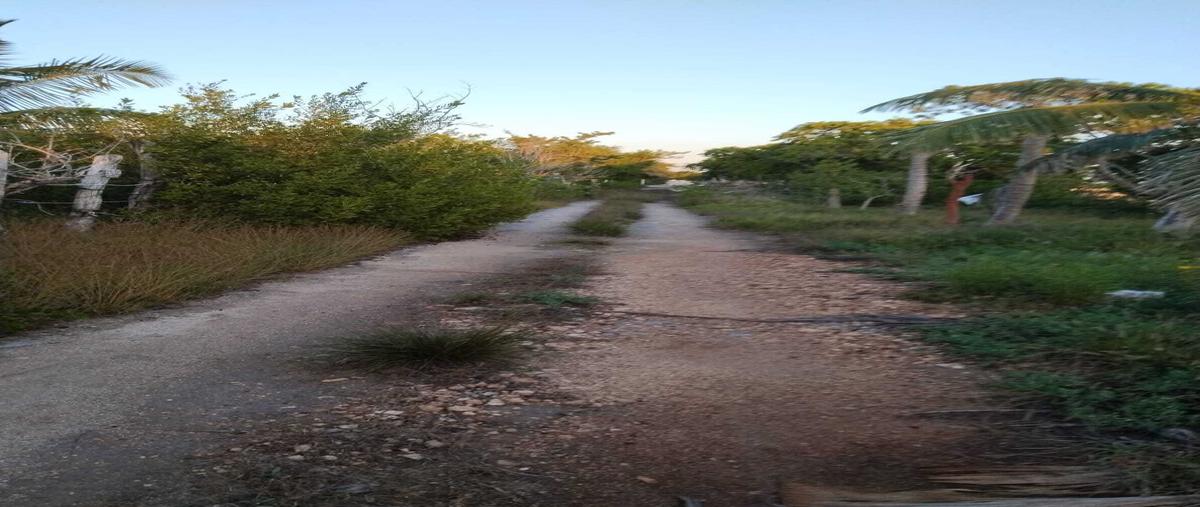 Foto de terreno habitacional en venta en  , 15 de mayo, mérida, yucatán, 28969002 No. 04