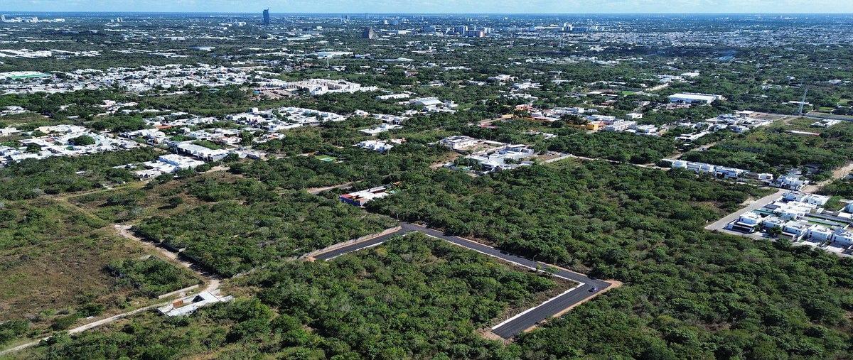 Foto de terreno habitacional en 15 , dzitya, mérida, yucatán, 0 foto 01 Foto de terreno habitacional en venta en 15 , dzitya, mérida, yucatán, 0 No. 01