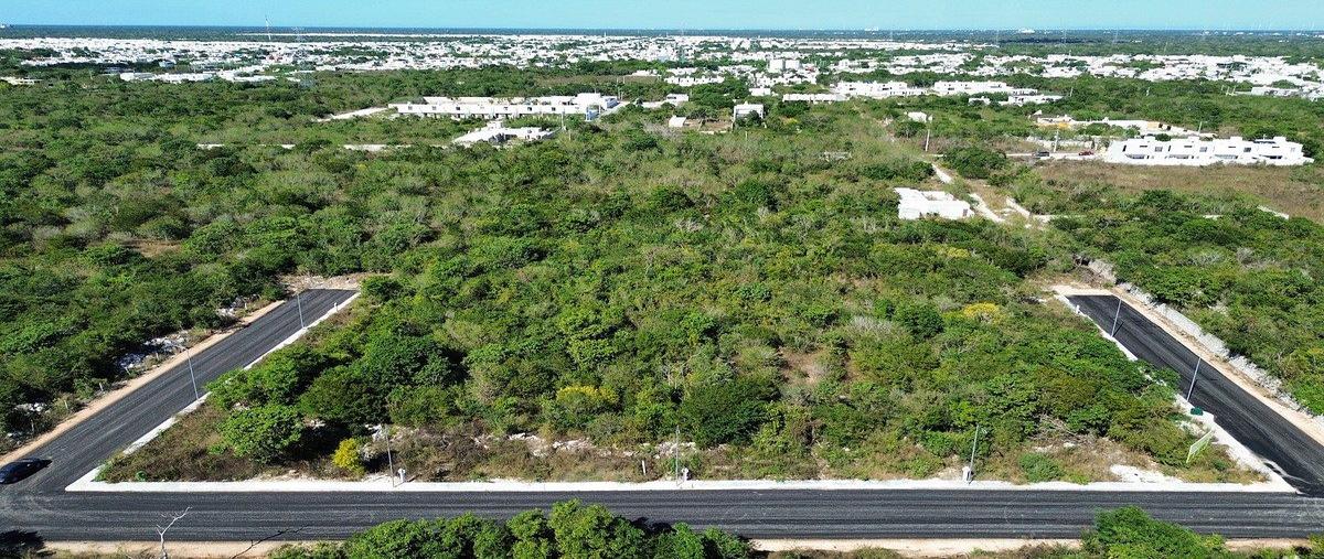 Foto de terreno habitacional en 15 , dzitya, mérida, yucatán, 0 foto 04 Foto de terreno habitacional en venta en 15 , dzitya, mérida, yucatán, 0 No. 04