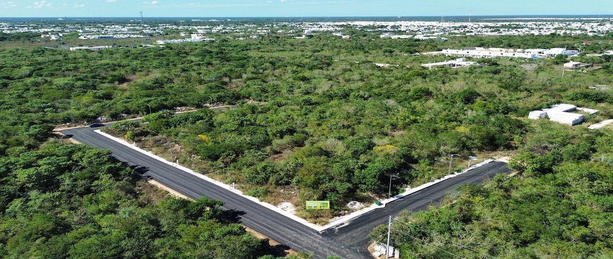 Foto de terreno habitacional en 15 , dzitya, mérida, yucatán, 0 foto 05 Foto de terreno habitacional en venta en 15 , dzitya, mérida, yucatán, 0 No. 05