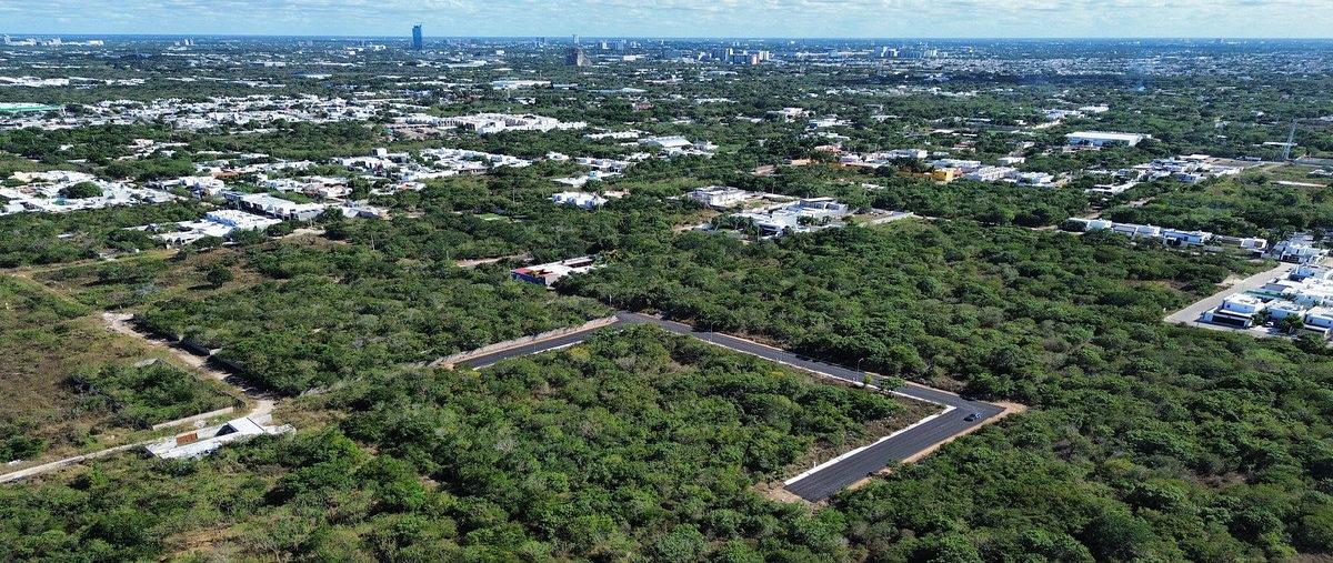 Foto de terreno habitacional en venta en 15 , dzitya, mérida, yucatán, 0 No. 08