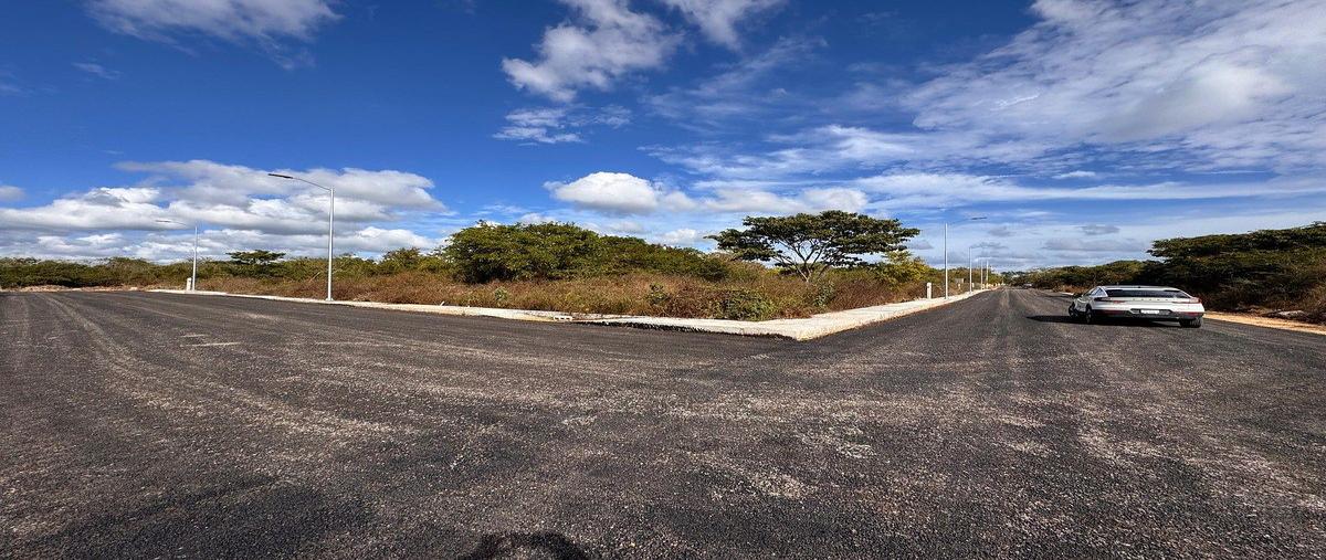 Foto de terreno habitacional en venta en 15 , dzitya, mérida, yucatán, 0 No. 12