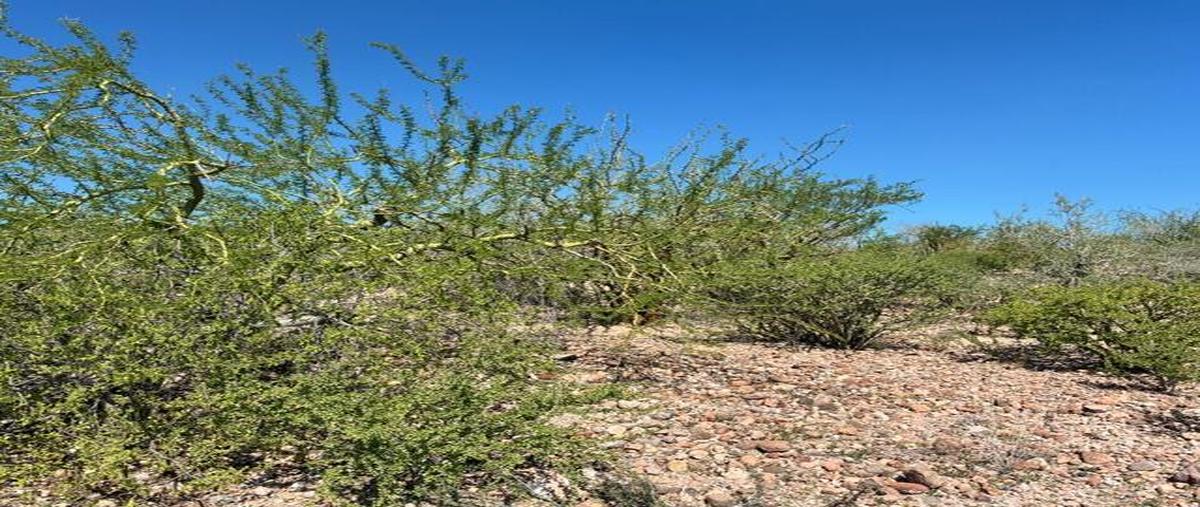 Foto de terreno habitacional en 15 , el centenario, la paz, baja california sur, 0 foto 01 Foto de terreno habitacional en venta en 15 , el centenario, la paz, baja california sur, 0 No. 01
