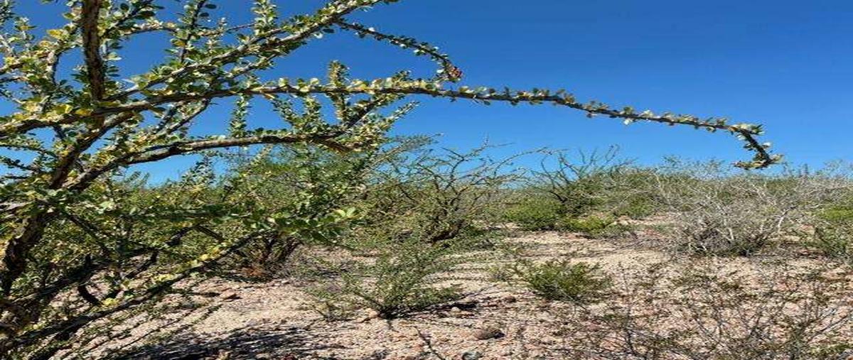 Foto de terreno habitacional en 15 , el centenario, la paz, baja california sur, 0 foto 03 Foto de terreno habitacional en venta en 15 , el centenario, la paz, baja california sur, 0 No. 03