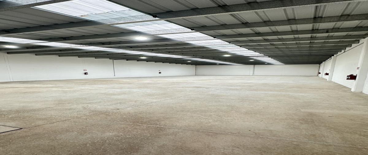 Foto de bodega en renta en 15 , el roble agrícola, mérida, yucatán, 0 No. 05