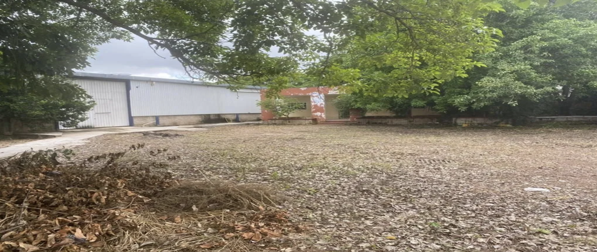 Foto de bodega en renta en 15 , francisco i madero, mérida, yucatán, 0 No. 04
