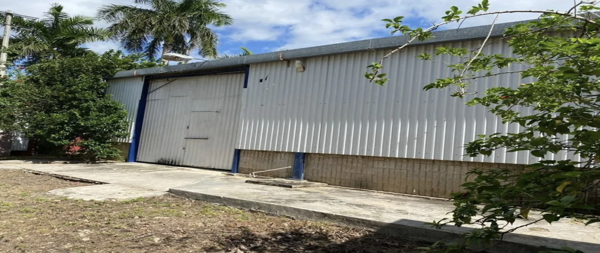 Foto de bodega en renta en 15 , francisco i madero, mérida, yucatán, 0 No. 05