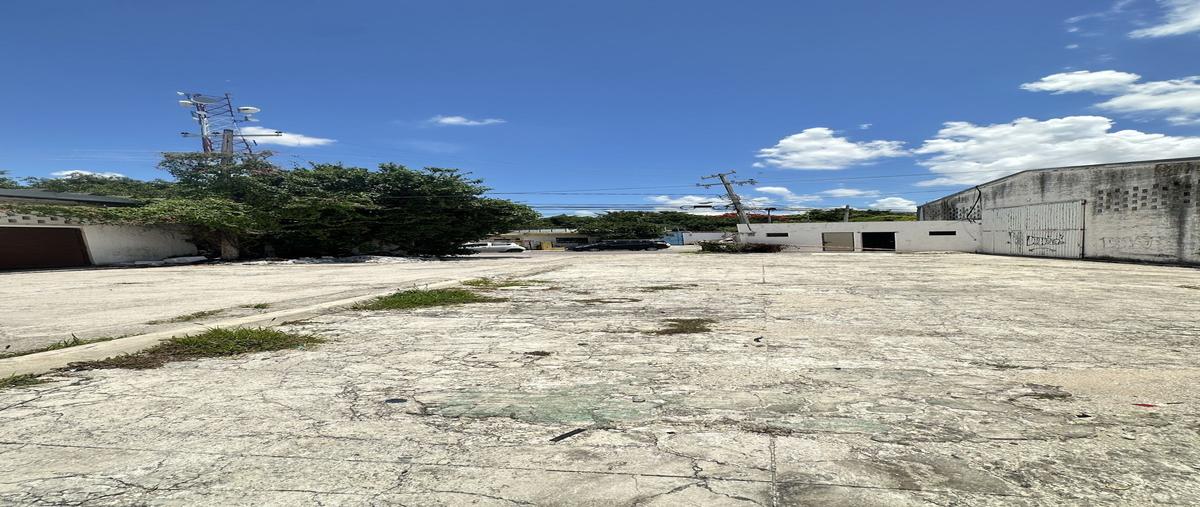 Foto de bodega en renta en 15 , itzaez, mérida, yucatán, 0 No. 05