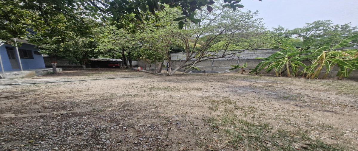 Foto de terreno comercial en venta en 15 oriente norte , hidalgo, tuxtla gutiérrez, chiapas, 31739451 No. 03