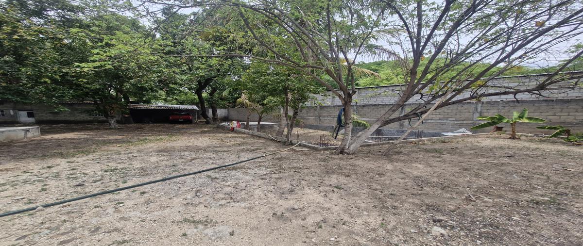 Foto de terreno comercial en venta en 15 oriente norte , hidalgo, tuxtla gutiérrez, chiapas, 31739451 No. 05