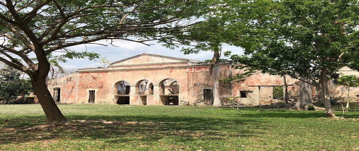Foto de rancho en 15 , sabacchen, tecoh, yucatán, 29526224 foto 05 Foto de rancho en venta en 15 , sabacchen, tecoh, yucatán, 29526224 No. 05