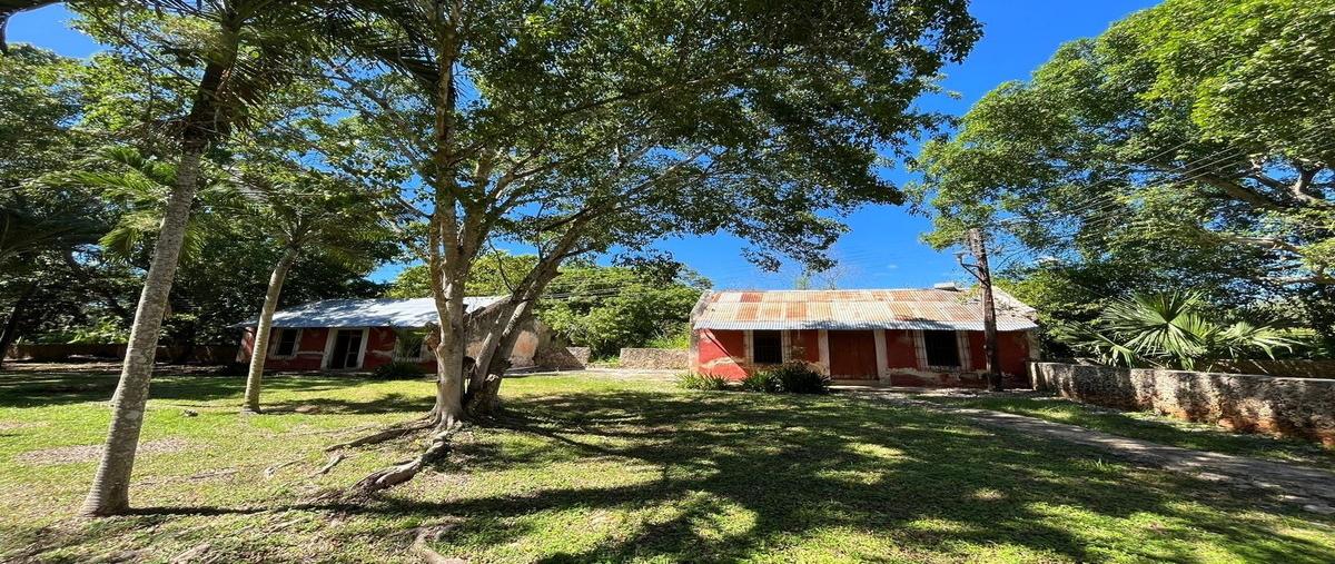 Foto de rancho en 15 , san juan tekax, tekax, yucatán, 0 foto 01 Foto de rancho en venta en 15 , san juan tekax, tekax, yucatán, 0 No. 01
