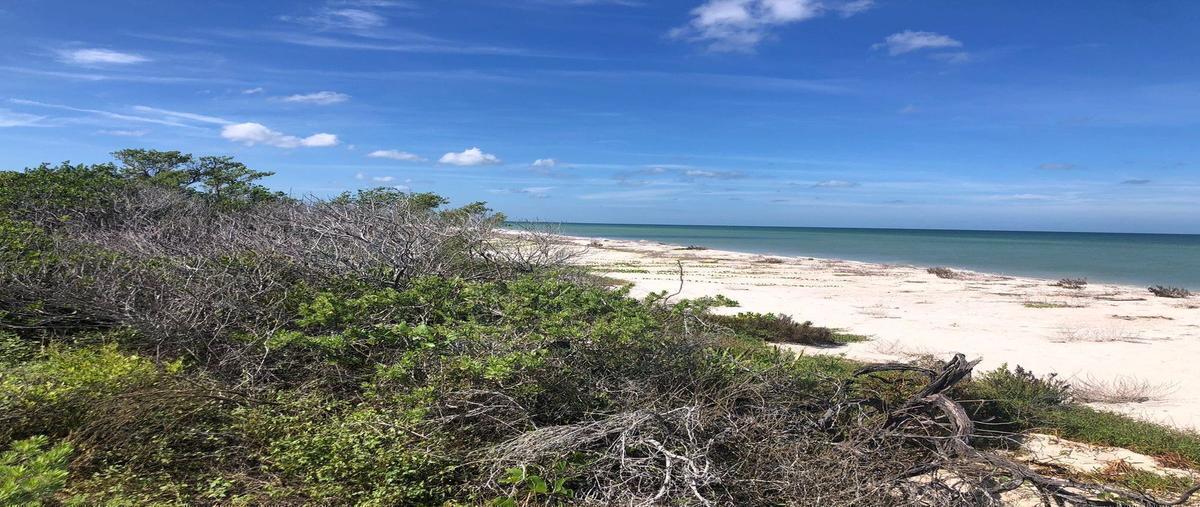 Foto de terreno habitacional en venta en 15 , sisal, hunucmá, yucatán, 0 No. 03