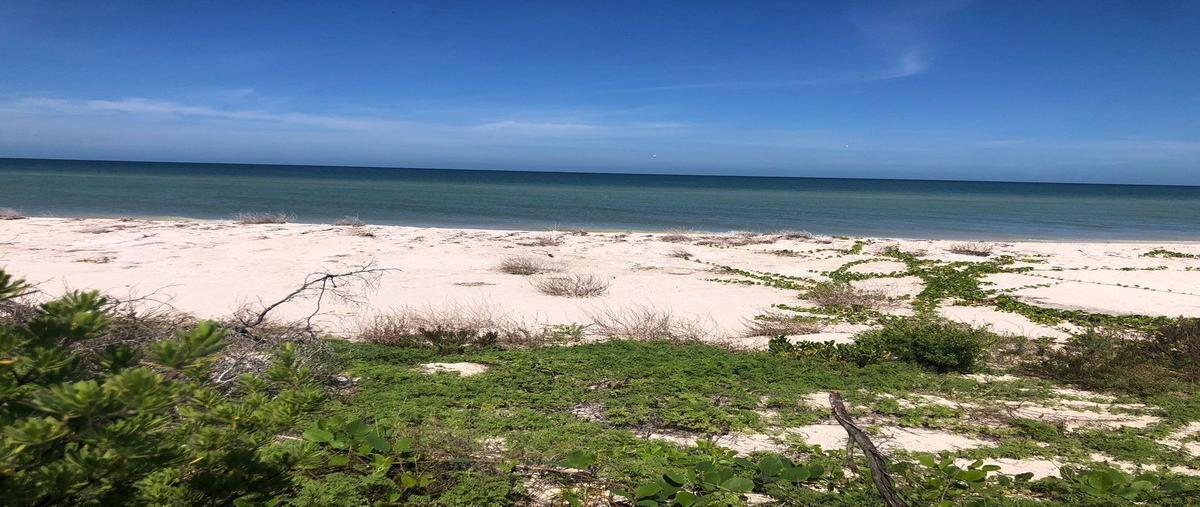 Foto de terreno habitacional en venta en 15 , sisal, hunucmá, yucatán, 0 No. 04