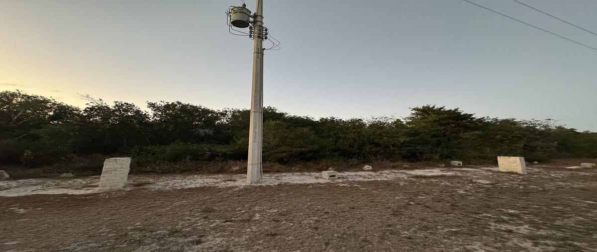 Foto de terreno habitacional en venta en 15 , sisal, hunucmá, yucatán, 0 No. 05