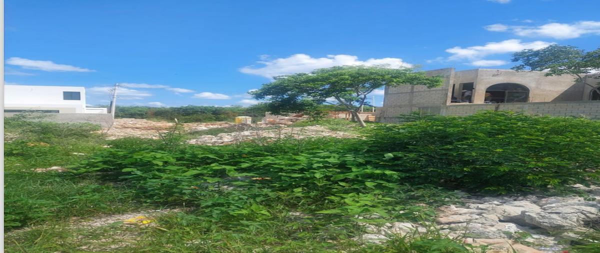 Foto de terreno habitacional en 16 , cholul, mérida, yucatán, 0 foto 01 Foto de terreno habitacional en venta en 16 , cholul, mérida, yucatán, 0 No. 01