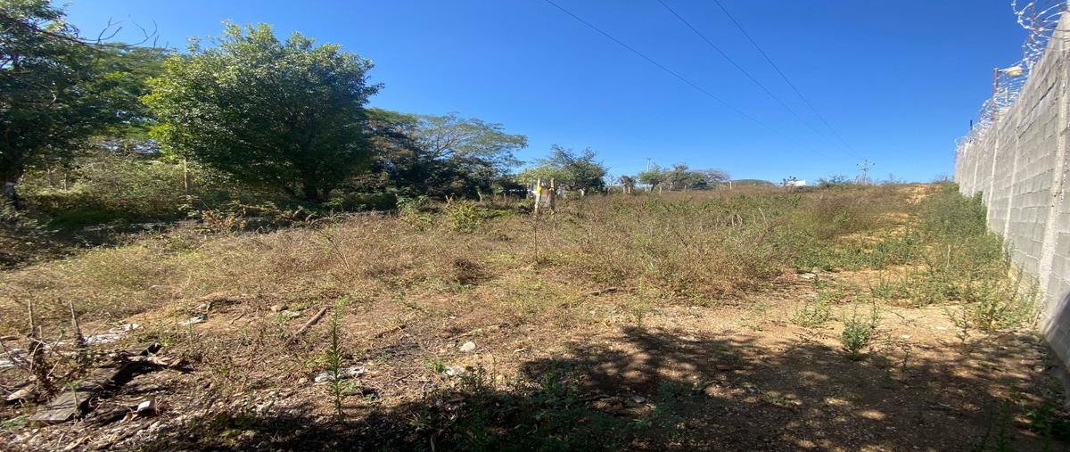 Foto de terreno habitacional en venta en 16 de septiembre , don ventura, san fernando, chiapas, 0 No. 03