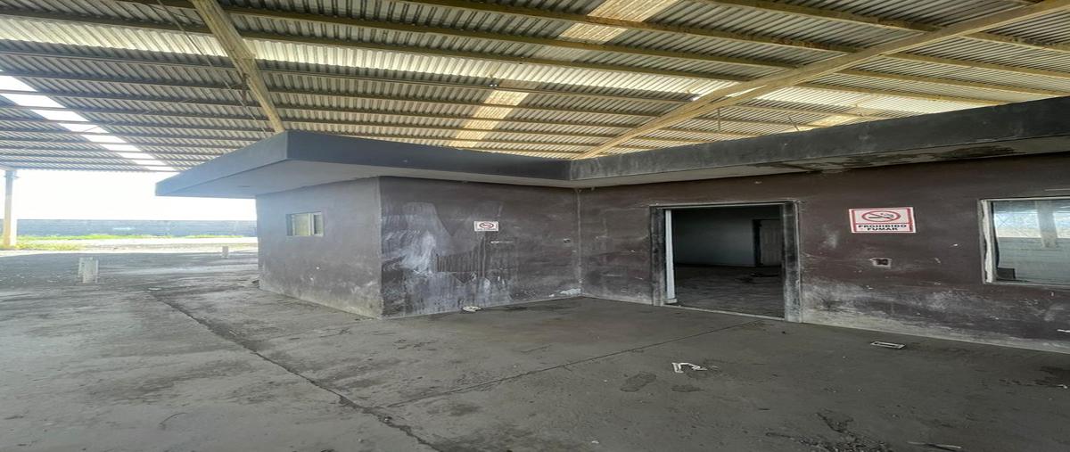 Foto de nave industrial en renta en  , 16 de septiembre, general escobedo, nuevo león, 28805685 No. 05