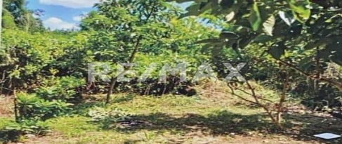 Foto de terreno habitacional en 16 de septiembre , lázaro cárdenas, cerro azul, veracruz de ignacio de la llave, 0 foto 02 Foto de terreno habitacional en venta en 16 de septiembre , lázaro cárdenas, cerro azul, veracruz de ignacio de la llave, 0 No. 02