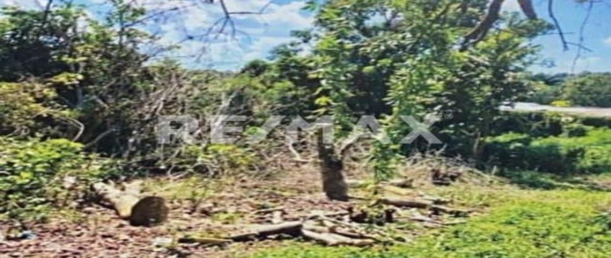 Foto de terreno habitacional en 16 de septiembre , lázaro cárdenas, cerro azul, veracruz de ignacio de la llave, 0 foto 03 Foto de terreno habitacional en venta en 16 de septiembre , lázaro cárdenas, cerro azul, veracruz de ignacio de la llave, 0 No. 03