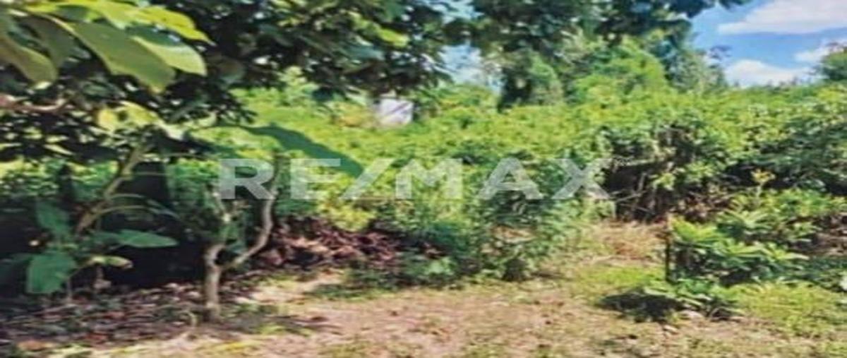 Foto de terreno habitacional en 16 de septiembre , lázaro cárdenas, cerro azul, veracruz de ignacio de la llave, 0 foto 04 Foto de terreno habitacional en venta en 16 de septiembre , lázaro cárdenas, cerro azul, veracruz de ignacio de la llave, 0 No. 04