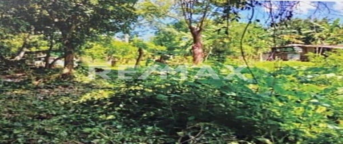 Foto de terreno habitacional en 16 de septiembre , lázaro cárdenas, cerro azul, veracruz de ignacio de la llave, 0 foto 05 Foto de terreno habitacional en venta en 16 de septiembre , lázaro cárdenas, cerro azul, veracruz de ignacio de la llave, 0 No. 05