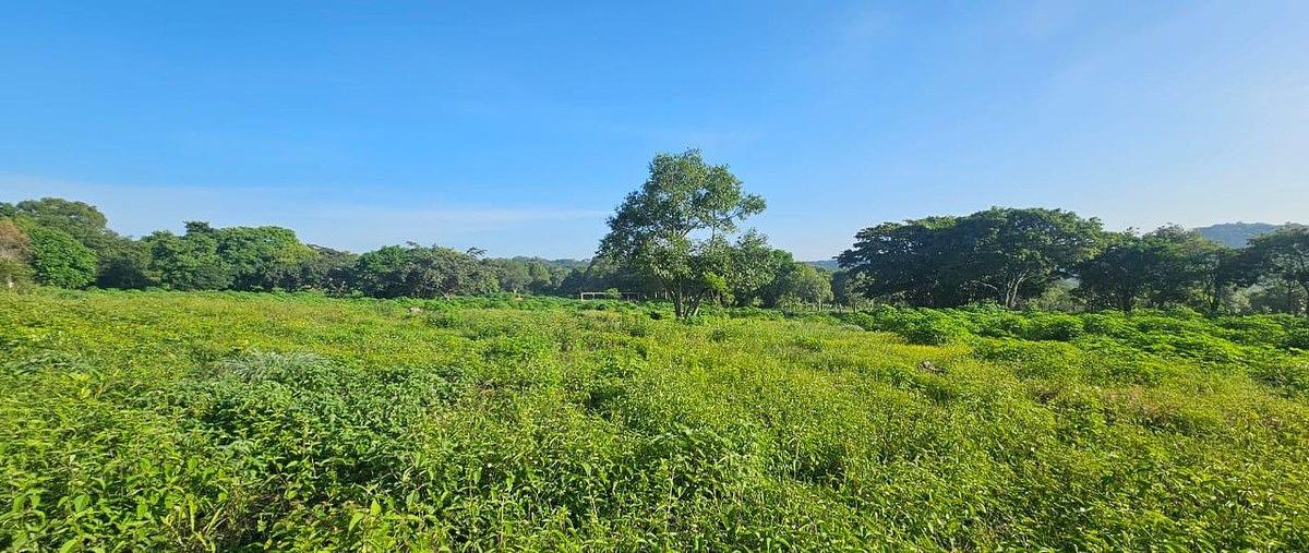 Foto de terreno habitacional en venta en  , 16 de septiembre, villaflores, chiapas, 0 No. 03