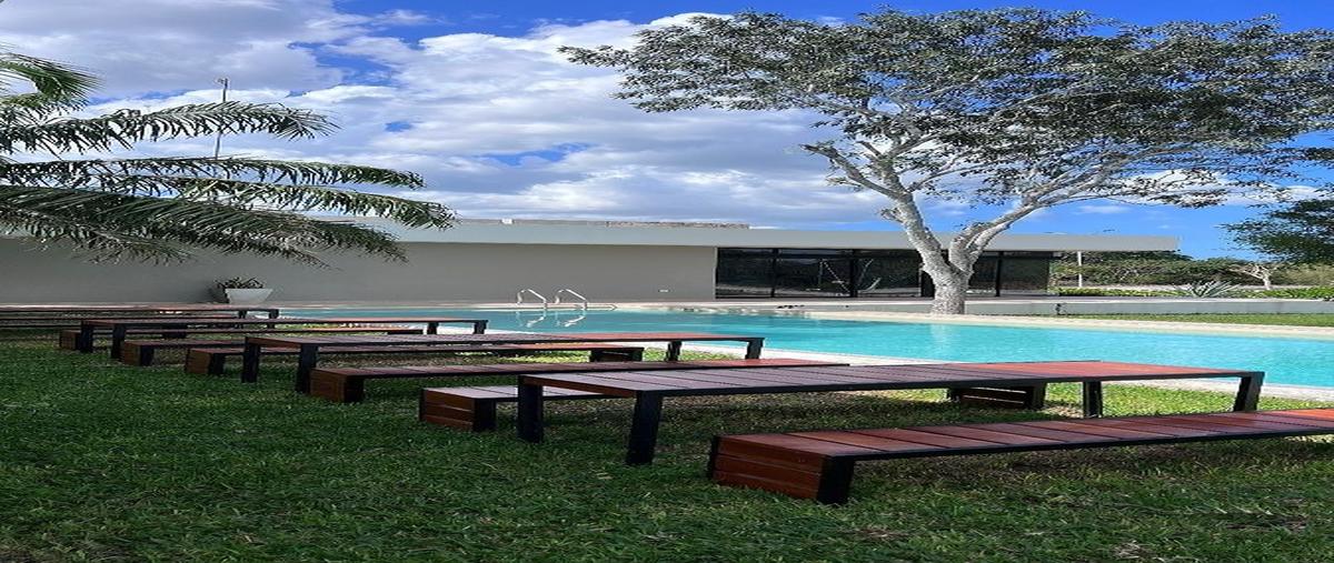 Foto de terreno habitacional en venta en 16 , dzidzilché, mérida, yucatán, 30996798 No. 03