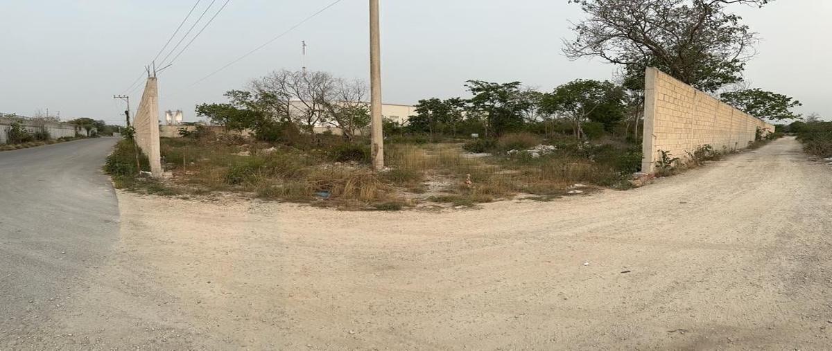 Foto de terreno habitacional en renta en 16 , dzitya, mérida, yucatán, 27590273 No. 05