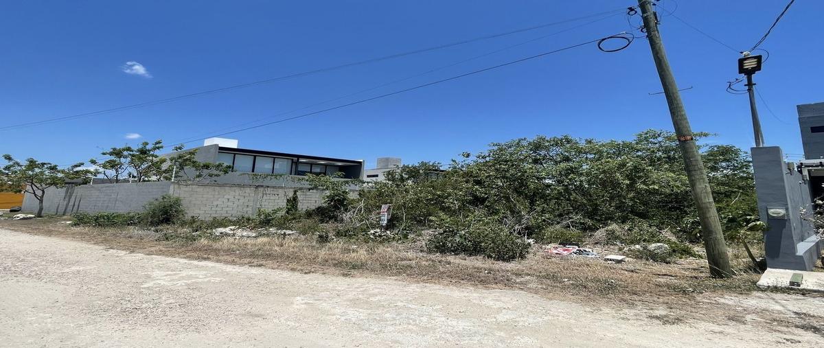 Foto de terreno habitacional en venta en 16 , dzitya, mérida, yucatán, 29777720 No. 04