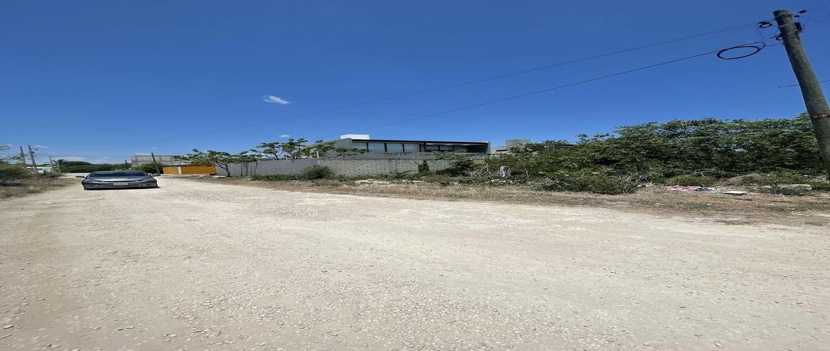 Foto de terreno habitacional en venta en 16 , dzitya, mérida, yucatán, 29777720 No. 05