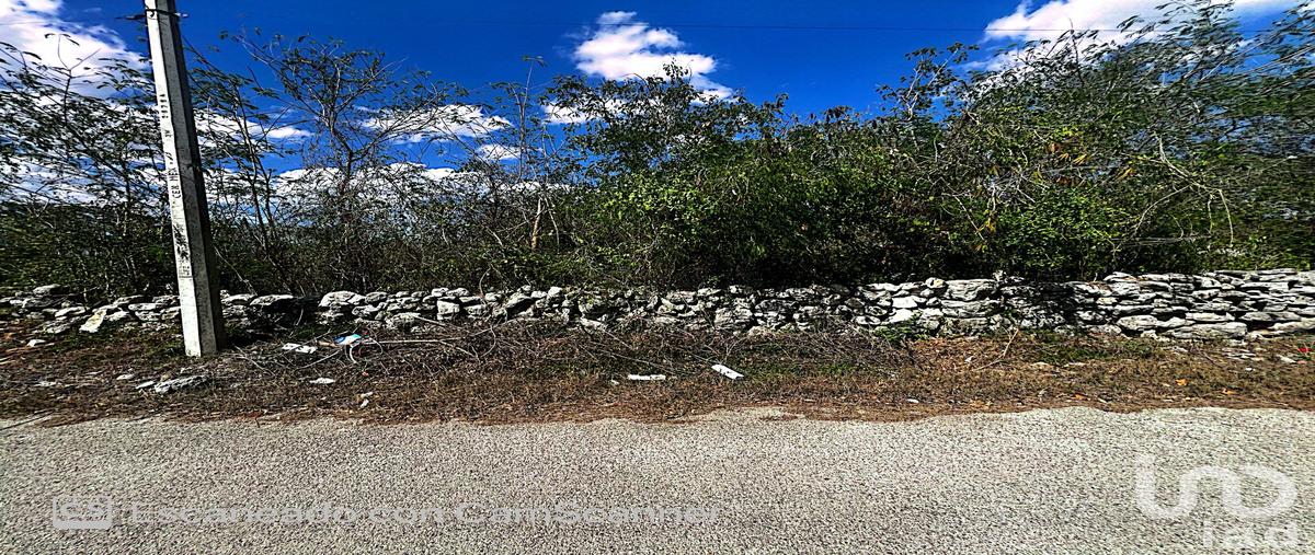Foto de terreno habitacional en venta en 17 138, kinchil, kinchil, yucatán, 28725235 No. 03