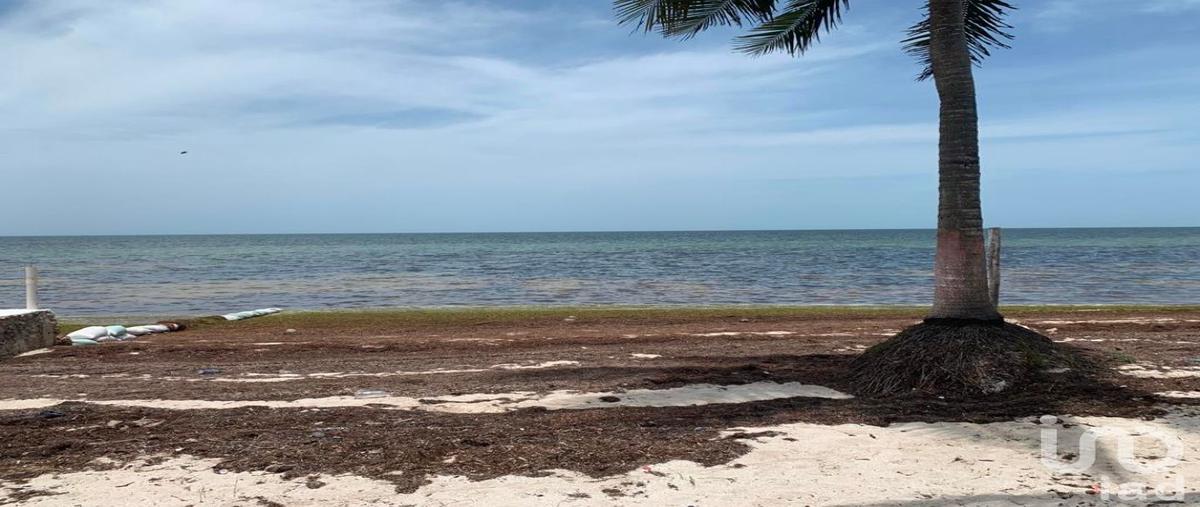 Foto de terreno habitacional en venta en 17 203, santa clara, dzidzantún, yucatán, 31586237 No. 04