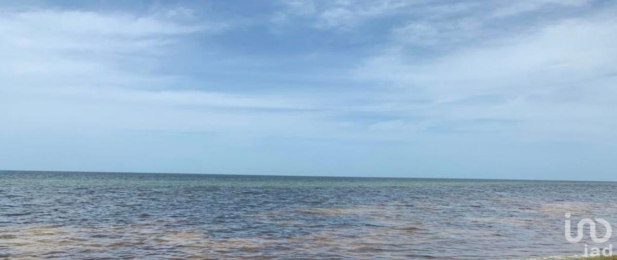 Foto de terreno habitacional en venta en 17 203, santa clara, dzidzantún, yucatán, 31586237 No. 05